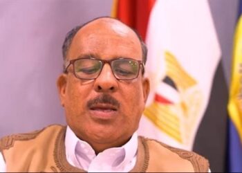 النائب محمد دخيل الجراري: مشاركة الرئيس السيسي بقمة أفريقيا – فرنسا تعزز مكانة مصر كشريك رئيسي في دعم التنمية بالقارة