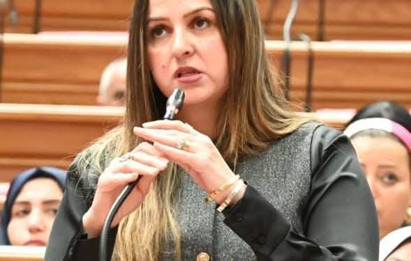 النائبة لبنى عبد العزيز تحصل على موافقة لتوصيل الغاز الطبيعي لأهالي بهتيم على نفقة الدولة