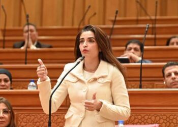 النائبة إيرين سعيد تطالب وزير الصحة بفتح تحقيق عاجل في واقعة وفاة طفل إثر اختناقه بـ«حبة فول سوداني»