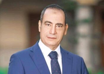 النائب مجاهد نصار: لقاء الرئيس السيسي برئيس بنك التنمية الأفريقي يدعم رؤية مصر 2030