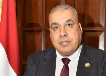 النائب محمد أبو النصر: لقاء الرئيس السيسي مع أمين منظمة التعاون الاقتصادي يعزز الثقة الدولية
