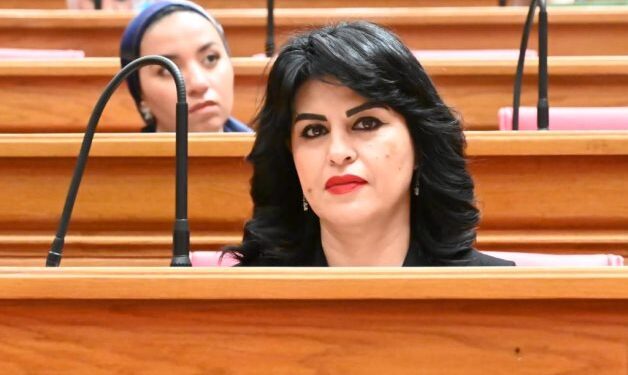 النائبة هند رشاد: صحة النواب تناقش تحويل الوحدة الصحية بقرية ناهيا إلى مستشفى عام متكامل