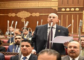 النائب أشرف عبد الغني يطالب بتعديل تشريعي عاجل لرفع حد التسجيل بضريبة القيمة المضافة للمشروعات الصغيرة