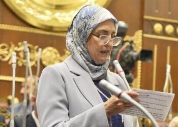 النائبة زينب فهيم تعلن موافقتها على خطة التنمية 2026/2027 وتؤكد أهمية دعم الاستثمار والحماية الاجتماعية