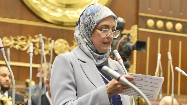 النائبة زينب فهيم تعلن موافقتها على خطة التنمية 2026/2027 وتؤكد أهمية دعم الاستثمار والحماية الاجتماعية