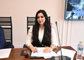 النائبة شذا أحمد حبيب تتقدم بطلب إحاطة بشأن قرار إزالة “بيت شباب القاهرة” بالمنيل