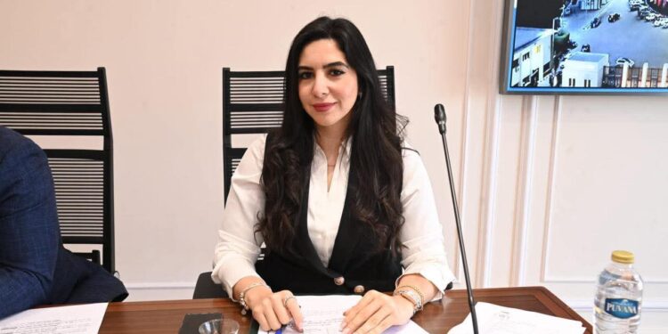 النائبة شذا أحمد حبيب تتقدم بطلب إحاطة بشأن قرار إزالة “بيت شباب القاهرة” بالمنيل