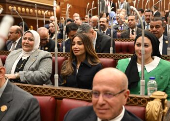 النائبة إنجي نصيف: مصر الركيزة الأساسية للعمل العربي المشترك.. وتطوير آليات جامعة الدول العربية ضرورة حتمية لمواكبة المتغيرات المتسارعة