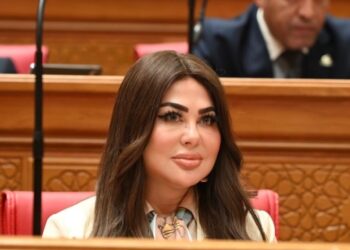 النائبة ولاء الصبان: قرار الرئيس السيسي بزيادة المعاشات إنجاز اجتماعي يعزز من حقوق المواطن