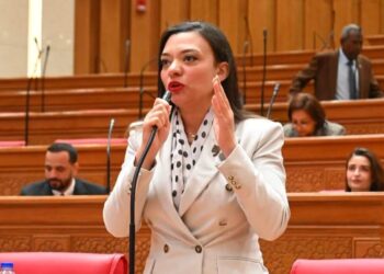 النائبة مى كرم جبر توافق على مشروع قانون العلاوة وزيادة الحافز الإضافي للموظفين.. وتطالب بالسيطرة على الأسعار