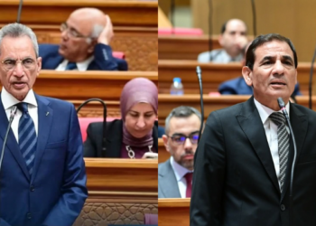 وزير المجالس النيابية يرد على النائب محمد عبدالعليم داوود: ملتزمون بالدستور