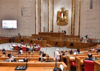 مقترح برلماني لإطلاق “جواز سفر تصديري” رقمي للشركات المصرية
