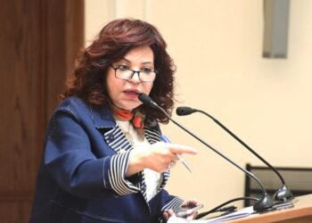 النائبة آمال عبد الحميد تطالب بمواجهة منصات مزيفة لبيع تذاكر المتحف المصري الكبير