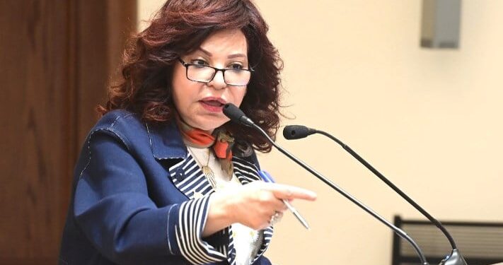 النائبة آمال عبد الحميد تطالب بمواجهة منصات مزيفة لبيع تذاكر المتحف المصري الكبير