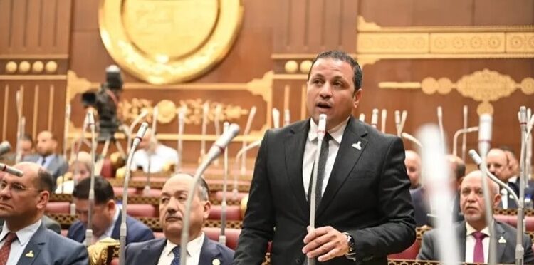 النائب عادل السكري: ذكرى الثالث من يوليو ستظل واحدة من أهم المحطات الوطنية في تاريخ مصر