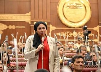 النائبة شيرين صبري تتقدم بمقترح برلماني لتغيير مسمى «ربة منزل» لـ«صانعة جيل» ببطاقة الرقم القومي